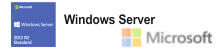 MS Standard Server 2022