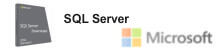 SQL 2019 CAL User