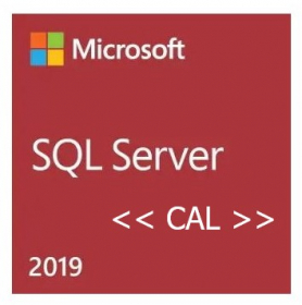 MS SQL Server 2019 5-User CAL OEM, Kauflizenz mit Downgrade-Recht (Box)