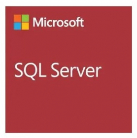 MS SQL Server 2022 Standard Edition multilingual Vollversion, OEM DVD (Box) (228-11642)