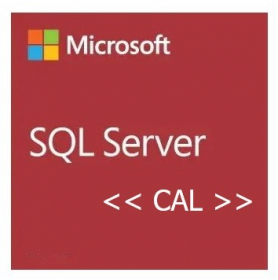 MS SQL Server 2022 CAL (5-Device) Kaufversion, OEM (Box) (359-07027)