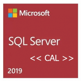 MS SQL Server 2019 CAL (10-User) multilingual (Download) Volumenlizenz, Kaufversion