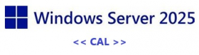 MS Windows Server 2025 CAL (10-User) Volumenlizenz (Download) (VG. MPN: EP2-17490)