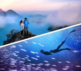 Adobe Photoshop Elements & Premiere Elements 2026 (3-Jahre) deutsch Vollversion (Windows/Mac Download) (30013300)