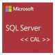 MS SQL Server 2022 CAL (1-User) Kaufversion, OEM (Box) (359-07038)