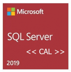 MS SQL Server 2019 5-User CAL OEM, Kauflizenz mit Downgrade-Recht (Box)