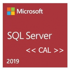 MS SQL Server 2019 CAL (1-User) multilingual (Download) Volumenlizenz, Kaufversion
